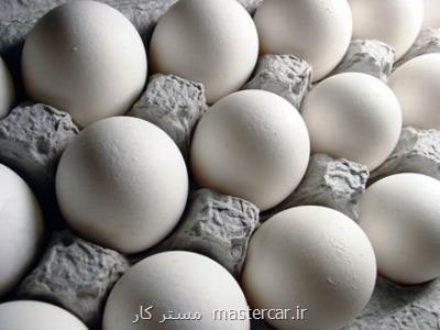 قیمت تخم مرغ کاهش یافت مغازه ها نرخ مصوب را اجرایی می کنند