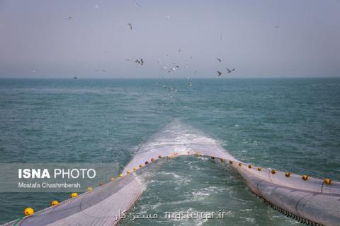 كاهش ذخایر دریایی استان بوشهر