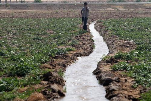 آخرین وضعیت تأمین آب کشت پاییزه خوزستان