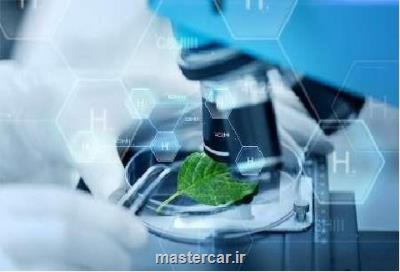 اعطای جایزه انتقال فناوری به بالاترین قراردادهای گروه دی-8