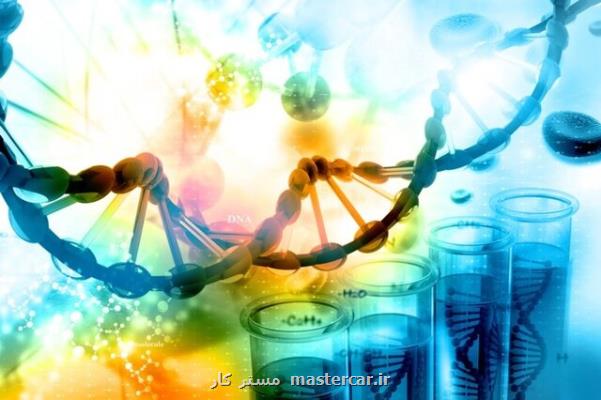 حذف توسعه فناوری تراریخته از دستور ستاد زیست فناوری