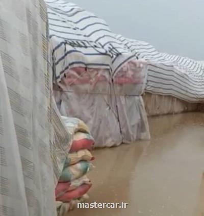 واکنش انجمن واردکنندگان به آبگرفتگی محموله های برنج در زاهدان