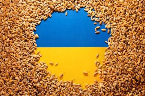 سرنوشت صادرات غلات اوکراین چه می شود؟