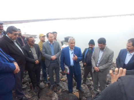 برنامه ریزی برای توزیع ۳۰۰ هزار تن نهاده دامی میان عشایر امسال