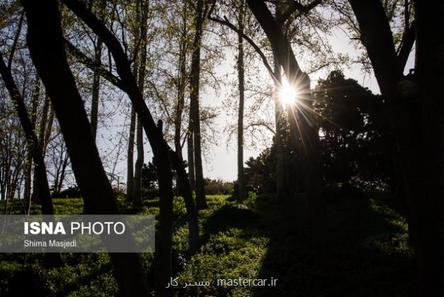 ماجرای تخریب شبانه باغ گیاهشناسی نوشهر چه بود؟