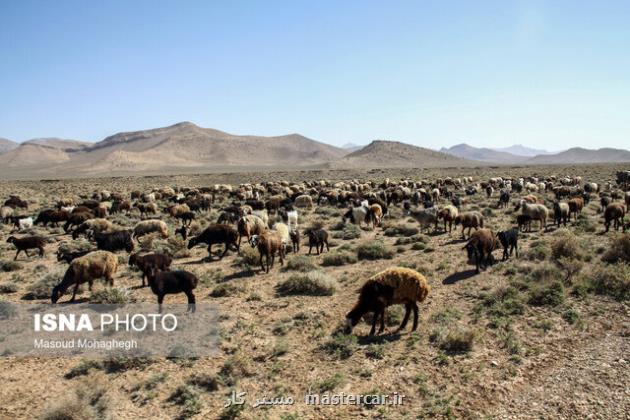 دستورالعمل چرای دام، دامداران بخوانند