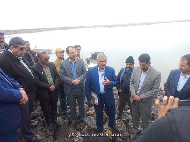 برنامه ریزی برای توزیع ۳۰۰ هزار تن نهاده دامی میان عشایر امسال