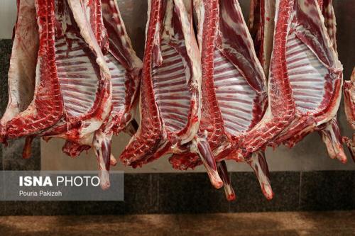دولت و حذف ارز ترجیحی گوشت قرمز نگاه بودجه محور یا امنیت غذایی؟