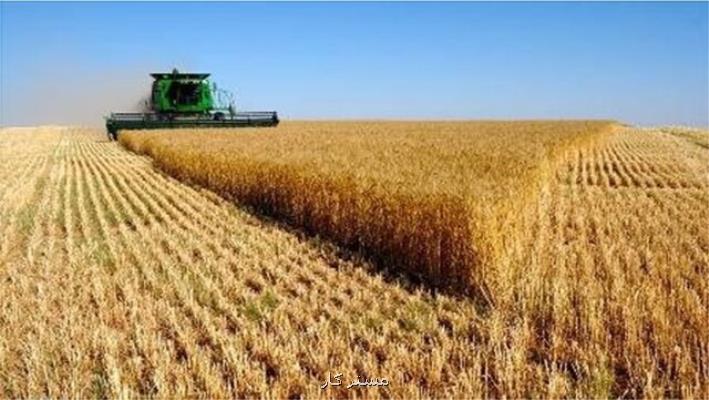 پایان اولتیماتوم پرداخت مطالبات گندمکاران