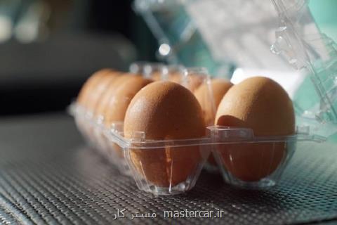تخم مرغ ۳۵ درصد از سال گذشته گران تر شد