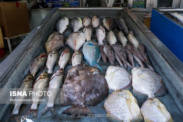 تغییرات قیمت ماهی در 5سال گذشته