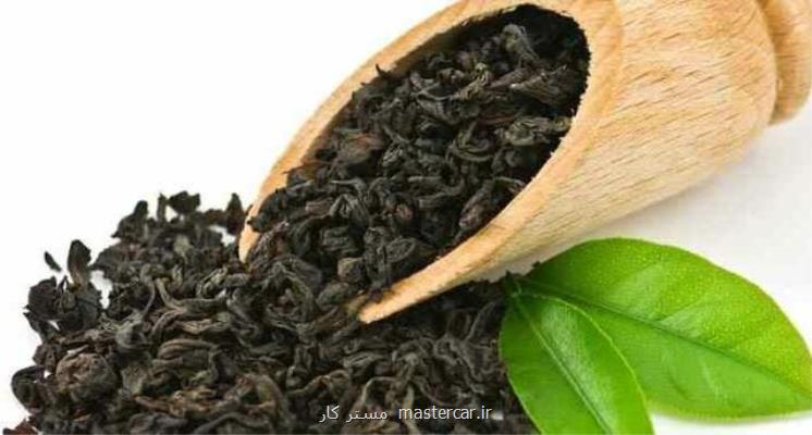 آغاز صادرات چای هند به ایران